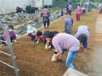 화순군 동복 유천마을, ‘으뜸마을 꽃정원’ 조성