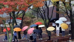 [포토]가을비 우산속에