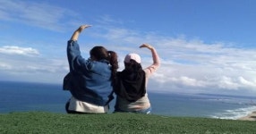 포항 칠포 곤륜산에 야생진드기 주의하세요