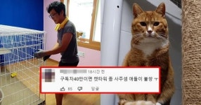 “비방하는 댓글이…” 길고양이 돌보는 유튜버, 구독자들 싸움 났다