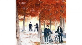 [포토]가을 끝자락…붉게 물든 함평천지길