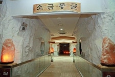 전남 장흥군, 우드랜드 편백소금집 운영 재개