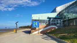 신안군, 임자 대광국제해수욕장에 “대광블루 N 스쿨” 운영