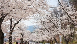 충남의 아름다운 드라이브 길 10선