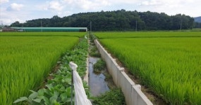 임실군, 오수면 대정지구 배수개선사업 본격 추진