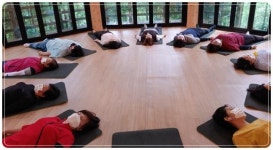 전남 장흥군,‘정남진 편백숲 우드랜드’ 산림체험 프로그램 내실화 박차