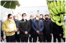 [포토]김영록 전남도지사,해남군 바나나 농장 방문