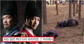 태종 이방원 동물학대로 퍼진 충격적 주장 담긴 댓글, 실체 이 정도였다