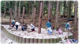 전남 장흥군, ‘다시 찾는 편백숲 우드랜드’ 새단장 돌입