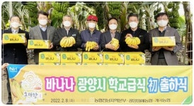 전남농협, 전남산 바나나 학교급식으로 판로개척에 나서