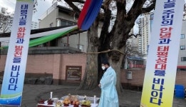 대전 중구 태평1동 느티나무 목신제 봉행