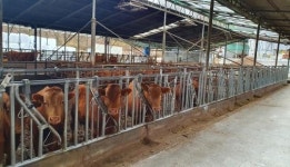 남원시, 깨끗한 축산농장 지정한다