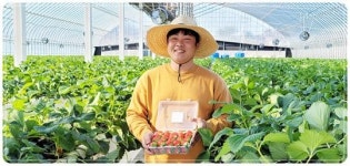전남 신안군, 청년 농업인 경영실습 임대농장 임차인 모집