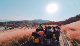 정읍시 유아숲체험원 인기, 오감 자극 상상력·창의력↑