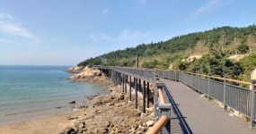 [기획보도] 군산시, 안전하고 품격있는 관광도시