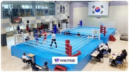 전남 화순군, 전라남도 소년체육대회 3종목 개최