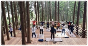 “정남진 편백숲 우드랜드에서 산림치유 체험하세요”