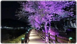 정남진 장흥군 “밤이 더 아름답다”