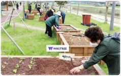 광주시 광산구 더불어락노인복지관 ‘복지숲 생태텃밭’ 개장