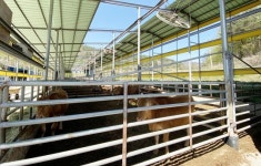 전남 화순군, 가축 사육환경 실태조사 시행