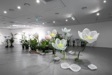 함평군립미술관, 제24회 나비대축제 기념 특별기획전 ‘Endless Garden_꽃의 나날들’ 개최