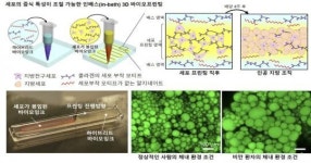 3D 프린팅  ‘지방조직’ 으로 비만 잡을까?