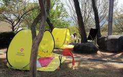 장성군립도서관에서 즐기는 색다른 ‘북 캠핑’