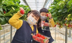 무안군, 어린이집 스마트팜 체험학습 운영