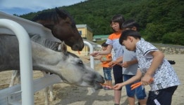 순창군 승마장 본격 재개장...가족과 함께 승마 즐겨요