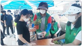 광주시 서구 화정1동 새마을문고, 반려식물 체험활동 눈길 !