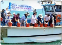 전남 보성군, 낙지 금어기에 포란 암컷낙지 3,000마리 방류