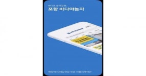 내 손 안에 바다, 포항 바다야 놀자~