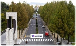 위정순 아름드리 수 약국 대표약사,전남대 개교 70주년 축하 발전기금 1천만 원 기부