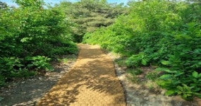 음성군, 등산로 정비...안전한 산행 환경 조성