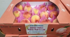 전주 와이식자재마트 중화산동점, 경로당 어르신 복달임 복숭아 나눔 펼쳐