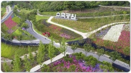 전남 신안군, 전국유일 ‘섬 가을 수국축제’ 개최한다