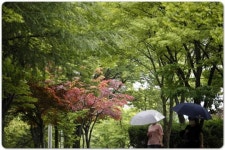 [포토]광주시 북구, 일곡 제1근린공원 산책로 인기