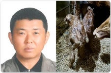 전남 무안군 청계면 축산농가, 2년 연속 쌍둥이 송아지 출산 ‘화제’