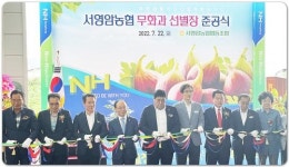 전남농협, 서영암농협 무화과 선별장 준공식 개최