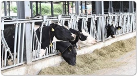 전남 나주시, 축산농가 사료구매자금 융자지원 실시