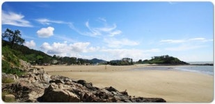 전남 영광 가마미 해수욕장, 해변 가요제 개최