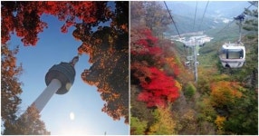 서울시, 남산에 곤돌라 다시 추진한다…내년까지 기본계획 수립