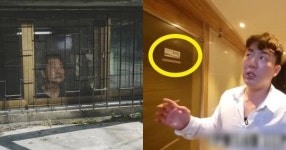 반지하 세 안 주고, 그 공간을 ‘이것’으로 만들었다는 신림동 건물주 (영상)