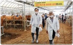 윤병태 나주시장, 축산농가 애로 청취 … 영산포 우시장 방문