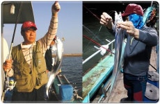 전남 영암 갈치 낚시터~불야성