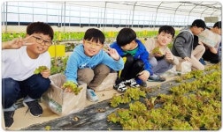 전남도, 추석 연휴 전남 농촌마을서 힐링하세요