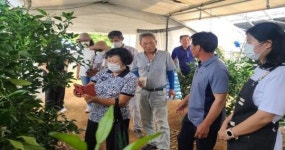 부안군친환경벤처농업대학 푸드플랜반, 감귤치유체험농장 현장교육