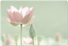 강진군다산박물관, 금릉천지(金陵天地) 사진전 열어