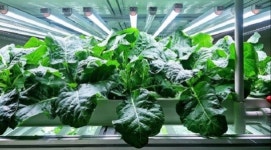 보령 한국중부발전 생태부지에  에코 스마트팜 조성