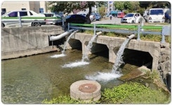 전남 화순군, 만연천에서 천연기념물 수달 발견